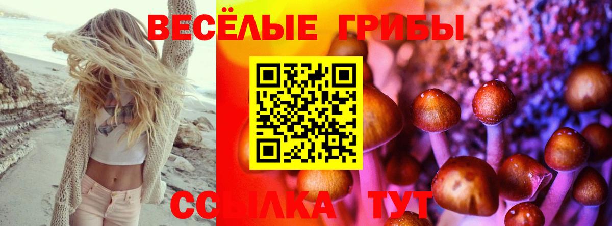 Галлюциногенные грибы прущие грибы Алатырь